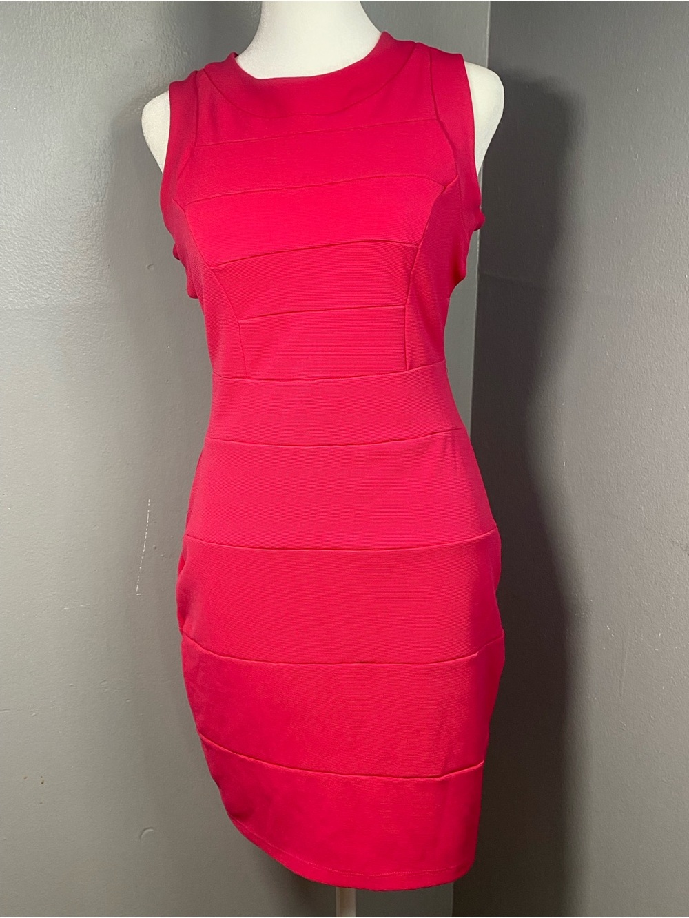 Frederick's of Hollywood Fuchsia Sleeveless Mini Dress